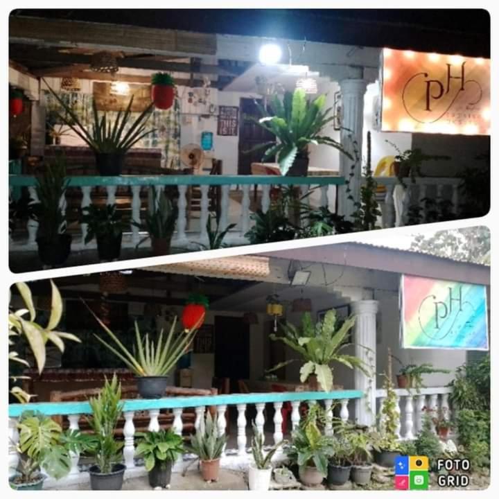Paraiso Hostel Moalboal Esterno foto